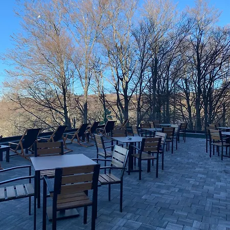 Stankovic Milmari קופאוניק